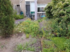 Gazon aanleggen Hoveniersbedrijf Gooise Meren Hovenier Naarden Bussum Tuinaanleg Tuinonderhoud